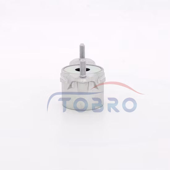 Tobro 서스펜션 자동차 부품 충격 흡수 장치 21031000 2463260064 메르세데스 벤츠 a를 위한 스트럿 마운트 스트럿 장착